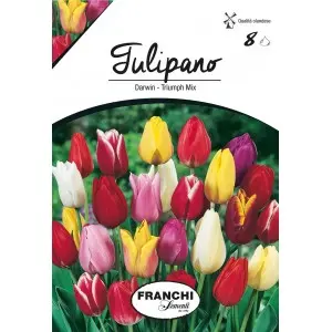Bulbi lalele cu tija inalta Triumph Mix, 8 bulbi