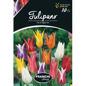 Bulbi lalele Floare de Crin Mix, 10 bulbi