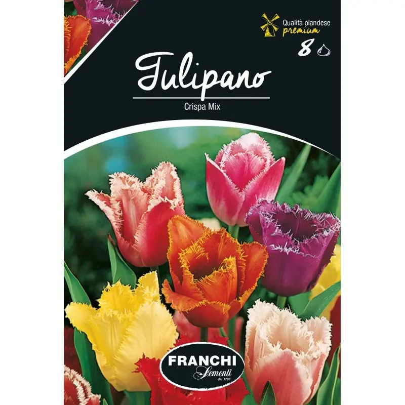 Bulbi lalele Franjurate Mix, 8 bulbi