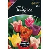 Bulbi lalele Franjurate Mix, 8 bulbi
