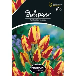 Bulbi lalele Multiflora Colour Spectacle, 8 bulbi