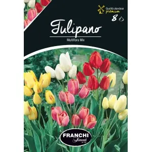Bulbi lalele Multiflora Mix, 8 bulbi