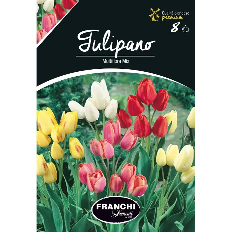 Bulbi lalele Multiflora Mix, 8 bulbi