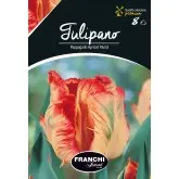 Bulbi lalele Papagal Apricot Parrot, 8 bulbi