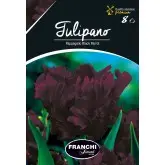 Bulbi lalele Papagal Black Parrot, 8 bulbi