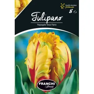 Bulbi lalele Papagal Texas Flame, 8 bulbi