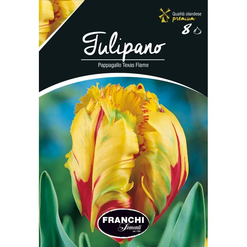 Bulbi lalele Papagal Texas Flame, 8 bulbi