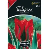 Bulbi lalele Viridiflora Esperanto, 8 bulbi