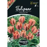 Bulbi lalele Viridiflora Green River, 8 bulbi