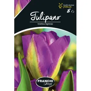 Bulbi lalele Viridiflora Nightrider, 8 bulbi