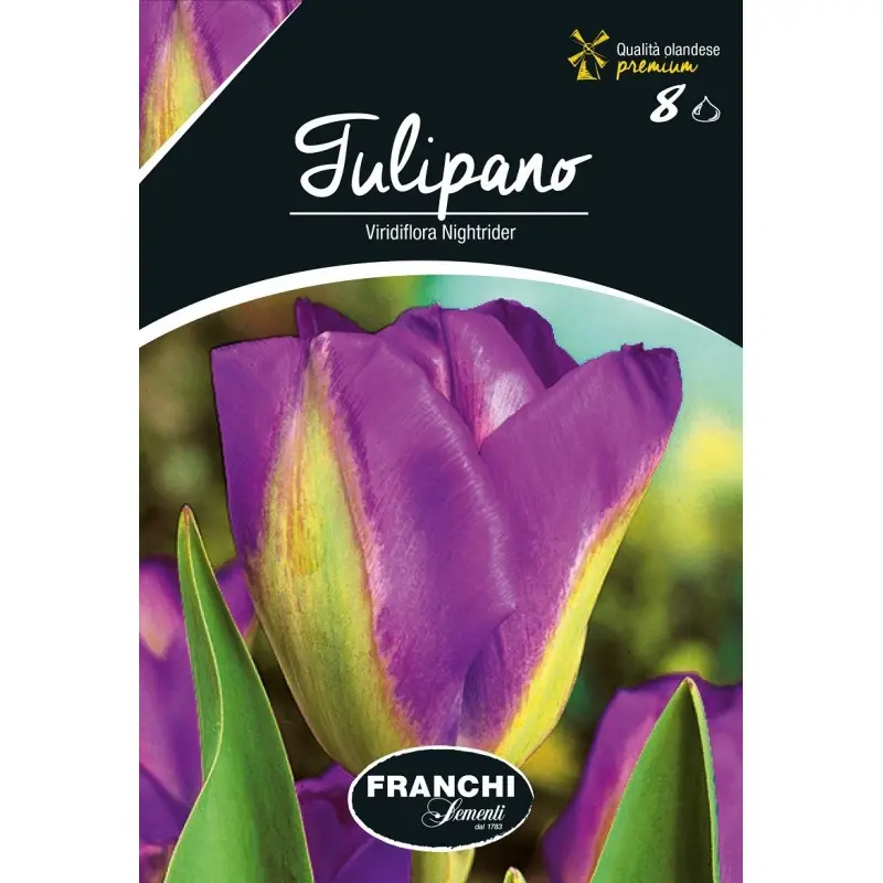 Bulbi lalele Viridiflora Nightrider, 8 bulbi