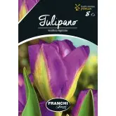 Bulbi lalele Viridiflora Nightrider, 8 bulbi