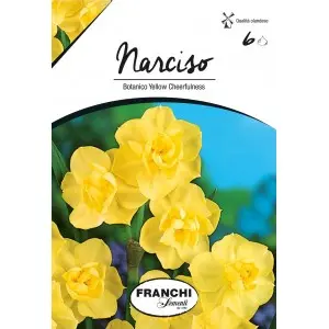 Bulbi narcise botanice Yellow Cheerfulness, 6 bulbi