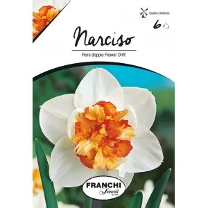 Bulbi narcise duble Flower Drift, 6 bulbi