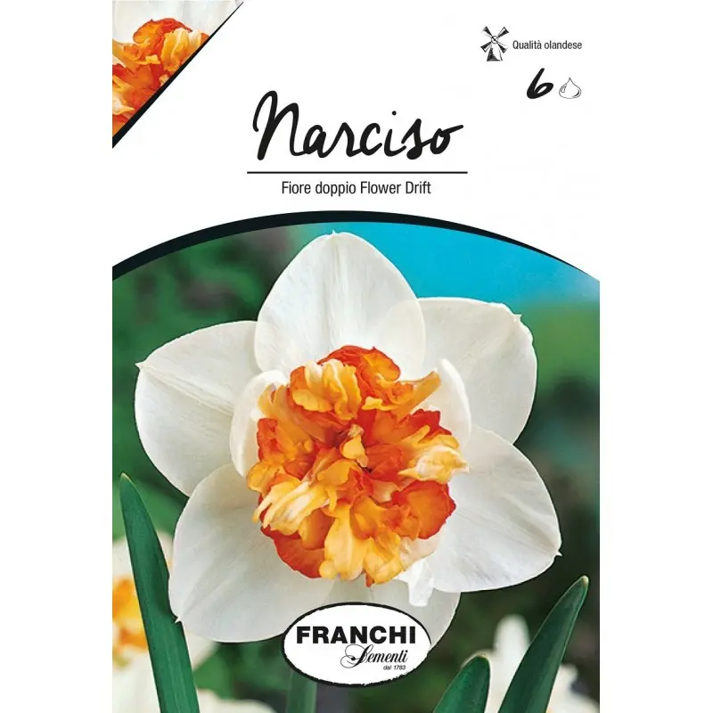 Bulbi narcise duble Flower Drift, 6 bulbi