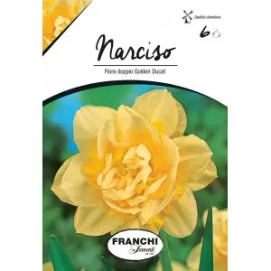 Bulbi narcise duble Golden Ducat, 6 bulbi