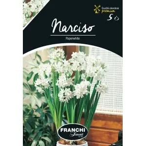 Bulbi narcise Paperwhite, 5 bulbi
