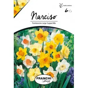 Bulbi narcise Trumpet Large Cupped mix, 6 bulbi