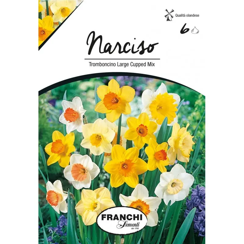 Bulbi narcise Trumpet Large Cupped mix, 6 bulbi