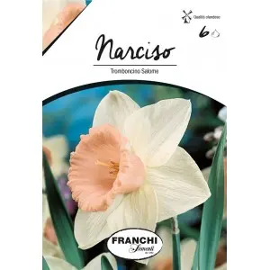 Bulbi narcise Trumpet Salome, 6 bulbi