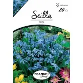 Bulbi scilla Siberica, 20 bulbi