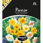 Bulbi narcise Trumpet Large Cupped mix, 15 bulbi