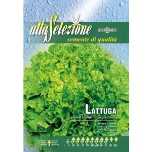 Seminte salata Gentilina Alta Selezione