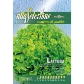 Seminte salata Gentilina Alta Selezione