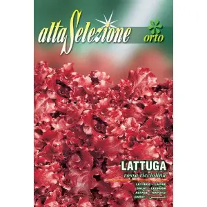 Seminte salata Rossa Ricciolina Alta Selezione