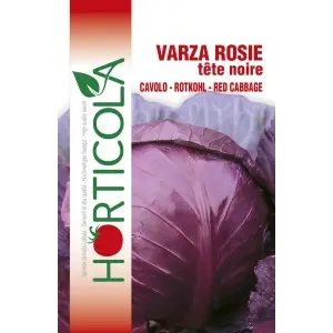 Seminte varza rosie Tete Noir 3 Horticola