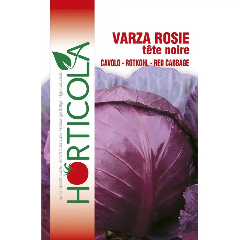 Seminte varza rosie Tete Noir 3 Horticola