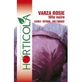 Seminte varza rosie Tete Noir 3 Horticola