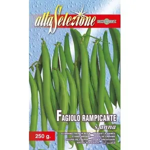 Seminte fasole urcatoare fideluta S.Anna Alta Selezione