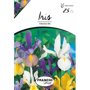 Bulbi iris Hollandica mixtura, 25 bulbi