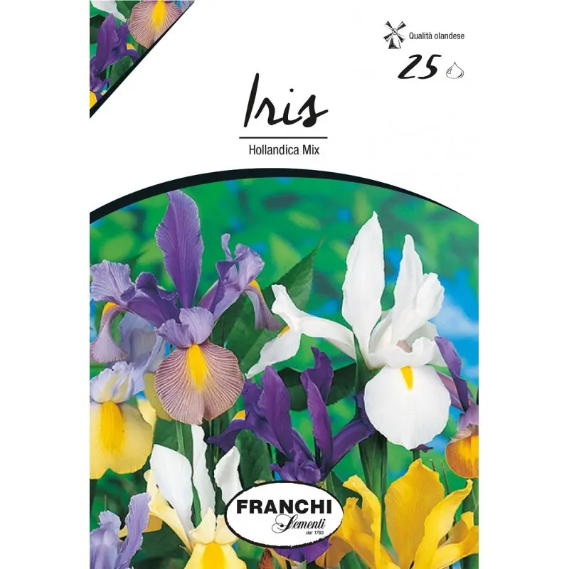 Bulbi iris Hollandica mixtura, 25 bulbi