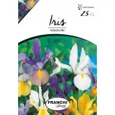 Bulbi iris Hollandica mixtura, 25 bulbi