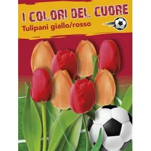 Bulbi mix lalele rosii si galbene/portocalii, 16 bulbi