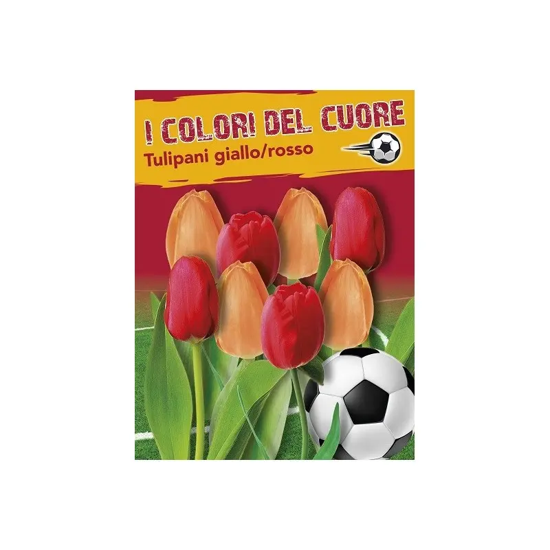 Bulbi mix lalele rosii si galbene/portocalii, 16 bulbi