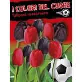 Bulbi mix lalele rosii si negre, 16 bulbi