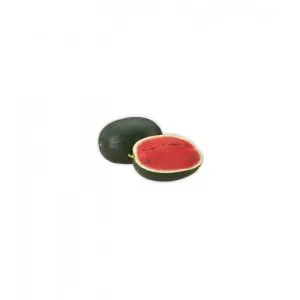 Seminte pepene verde Adam F1