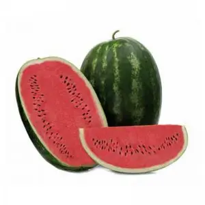 Seminte pepene verde Demre F1