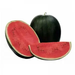 Seminte pepene verde Kandemir F1