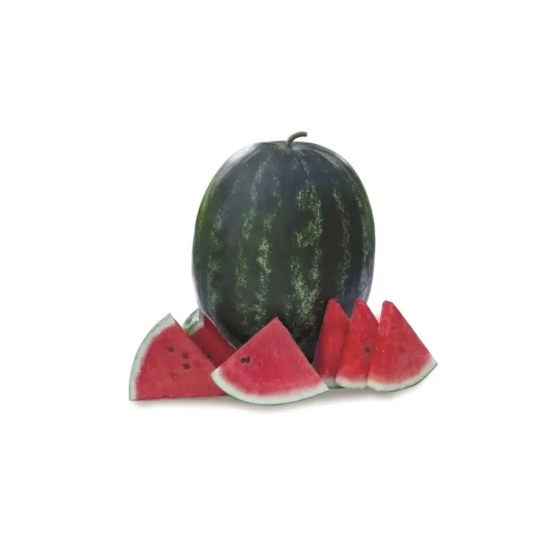 Seminte pepene verde Usta F1