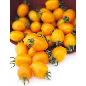 Seminte tomate cocktail Chick (142-550) F1