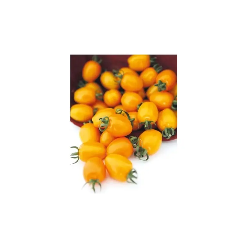 Seminte tomate cocktail Chick (142-550) F1