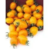 Seminte tomate cocktail Chick (142-550) F1