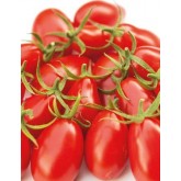 Seminte tomate cherry Nicoleta (142-520) F1