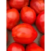 Seminte tomate Cabosse F1