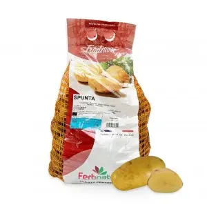Cartofi de samanta albi Spunta, sac 3 kg