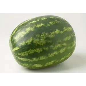 Seminte pepene verde Splendid F1